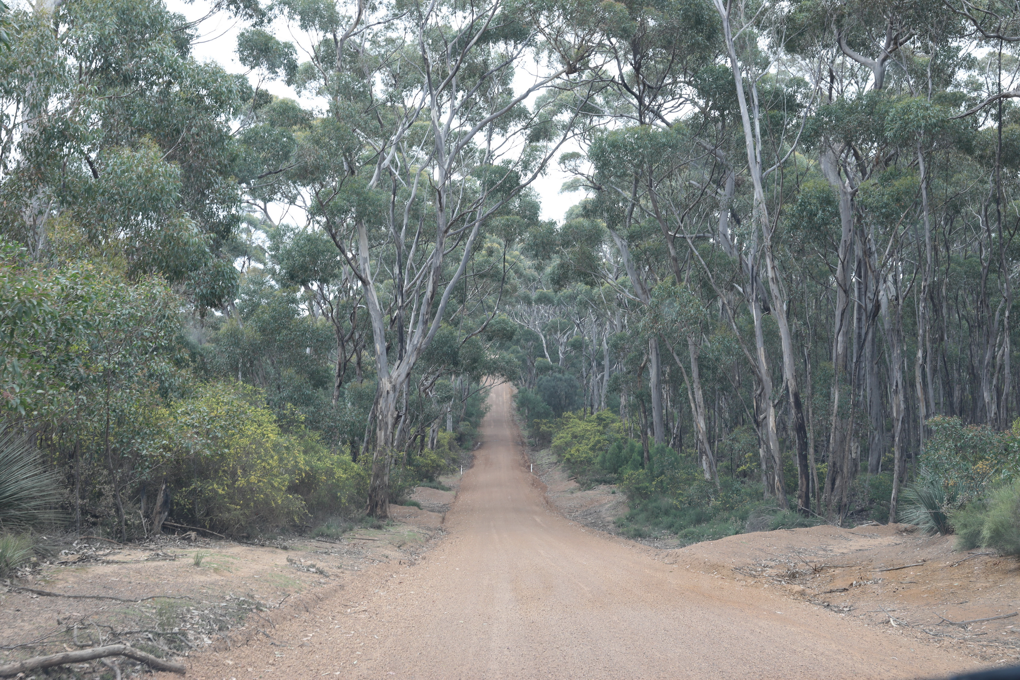 2019 10 02 10 56 04 Canon EOS 5D Mark IV 0009